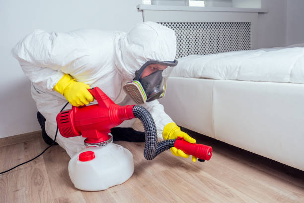 Best Residential Pest Control  in Bellevue, IL